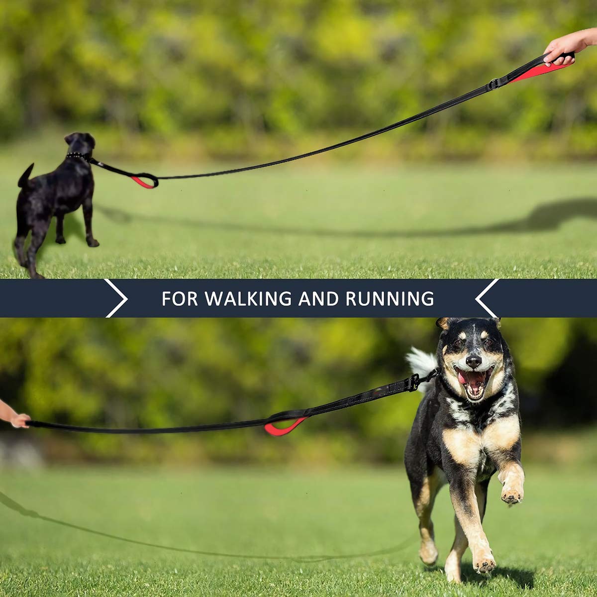 DDSColour Heavy Duty Dog Leash - 5ft 6ft Long, Double Traffic Handle Reflective - Suitable for Medium to Large Dogs - Strong, Training Nylon Leash