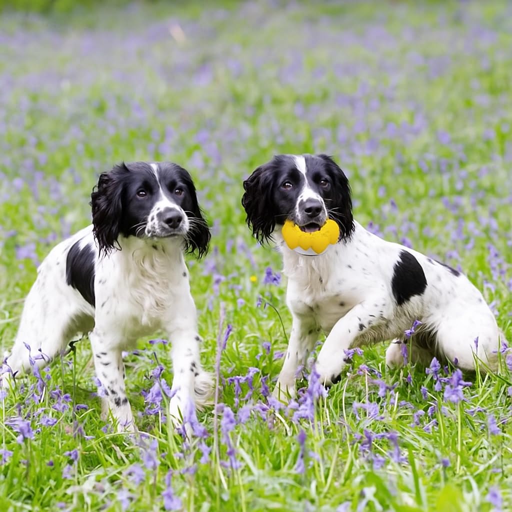 Pet Frenly Indestructible Large Dog Toys Aggressive Chewers - Interactive Puppy Toys 2 in 1 Treat and Tough Dog Chew Toys for Boredom - Doughnut Shape (Fleshy Brown)