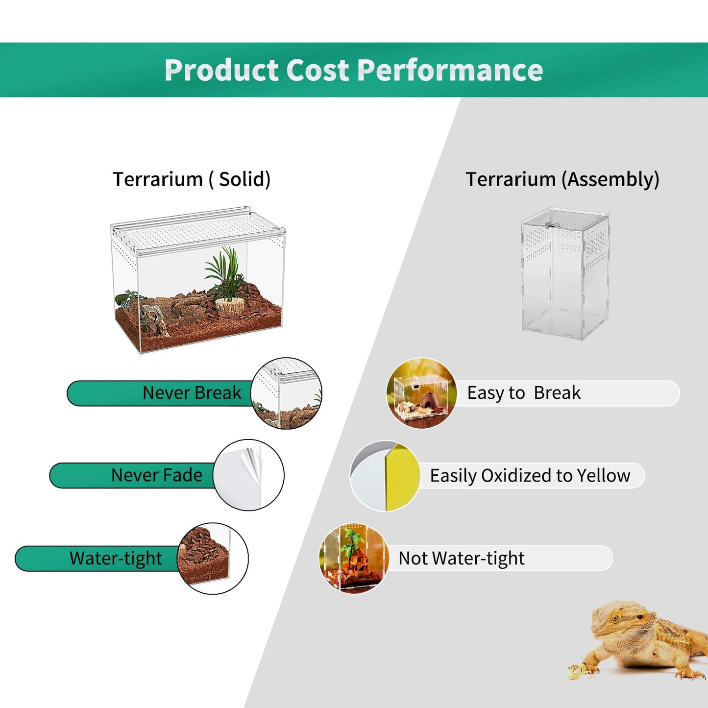 KAKOOTI Reptile Terrarium,6.8" x 6.8"x 6" Reptile Breeding Box, Magnetic Acrylic Enclosure,for Tarantula,Hermit Crab,Jumping Spider,Iguana,Leopard Gecko,Bearded Dragon, Insect, Mantis, Scorpions.