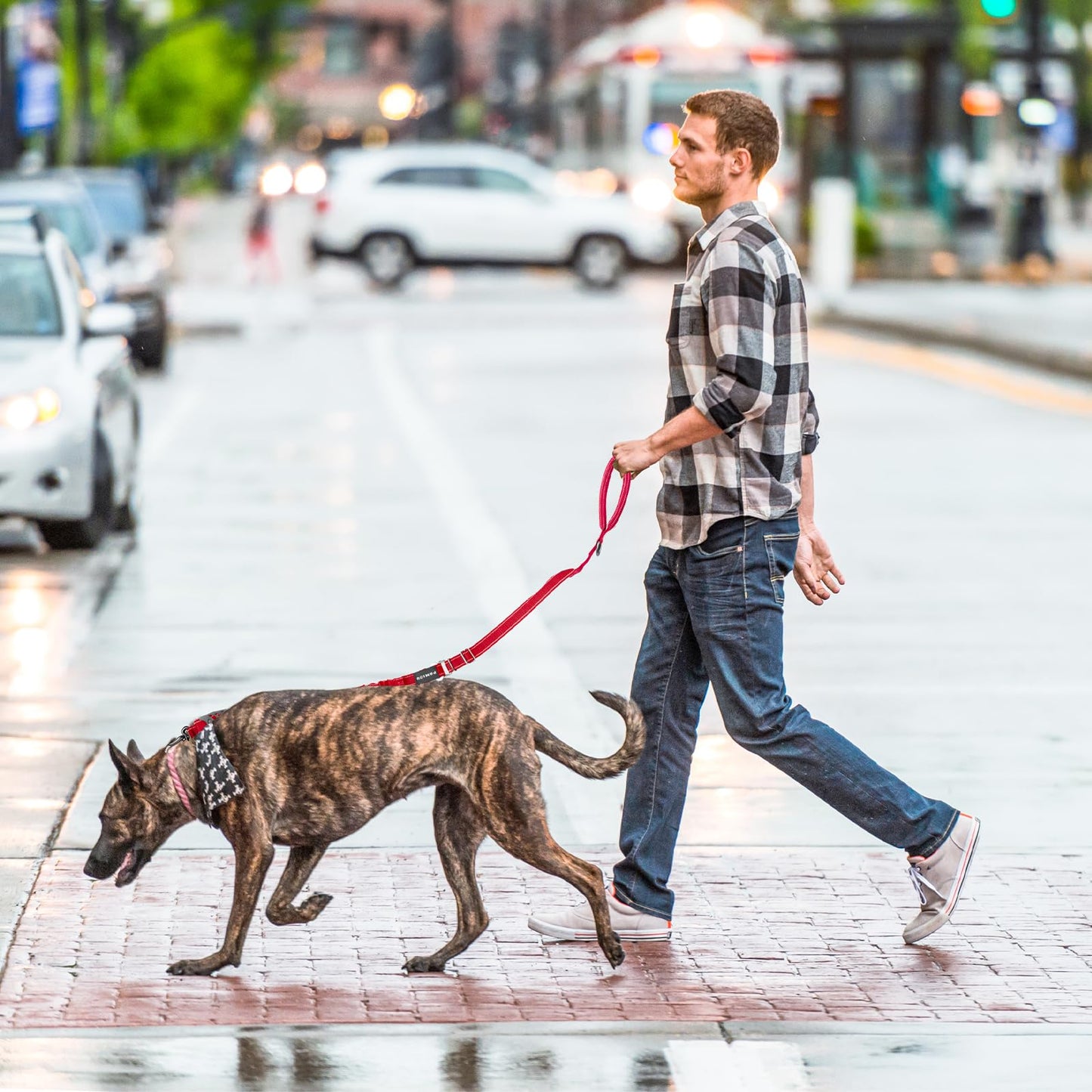 Pamiou Heavy Duty Dog Leash with Strong Lead for Medium to Large Dogs, Shock Absorbing with Bungee Design, Two Padded Handle & Car Seat Belt Buckle, Light Reflective Rope (Black)