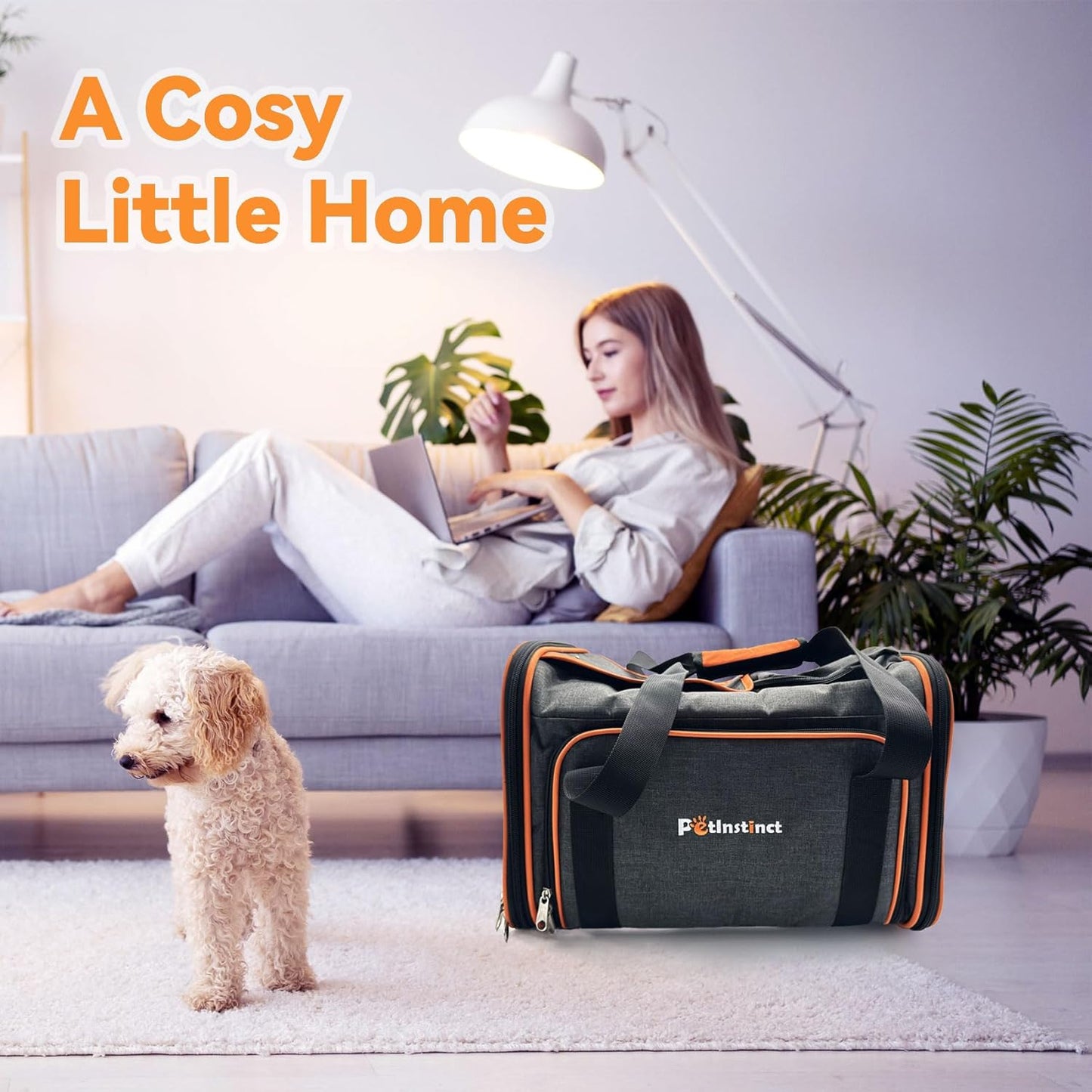 45x28x28cm Expandable Pet Carrier for Cats and Dogs up to 6kg, TSA Airline Approved, Alloy Accessory, Soft Sided Cat Carrier with Removable Wool Mat, Collapsible Travel Carrier for Cat Furr-Reel