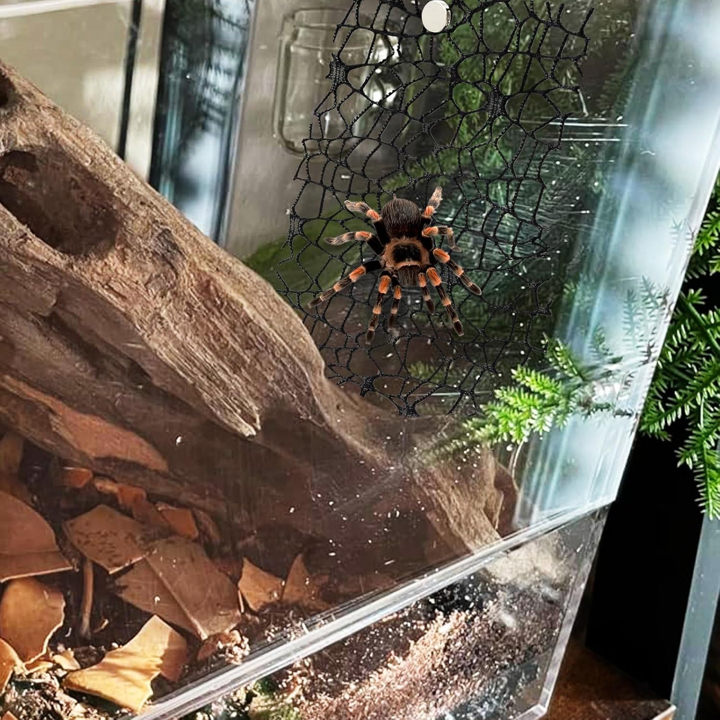 Niuohoy 4 Pack Tarantula Enclosure Accessories Jumping Spider Habitat Accessories with 16pcs Magnets Spider Terrarium Decoration Praying Mantis Habitat Jumping Spider Climbing Mesh (Black)
