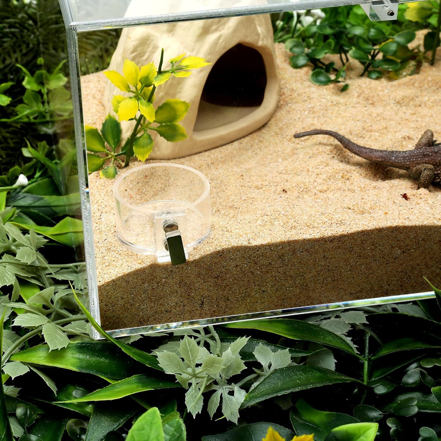 Acrylic Tarantula Enclosure Jumping Spider Enclosure with Front Opening Door 5.3 * 5.3 * 9 Inches Micro Habitat Terrarium for Small Tree Dwelling Reptiles, Spiders & Invertebrates (Enclosure&Feeder) - Furr-Reel