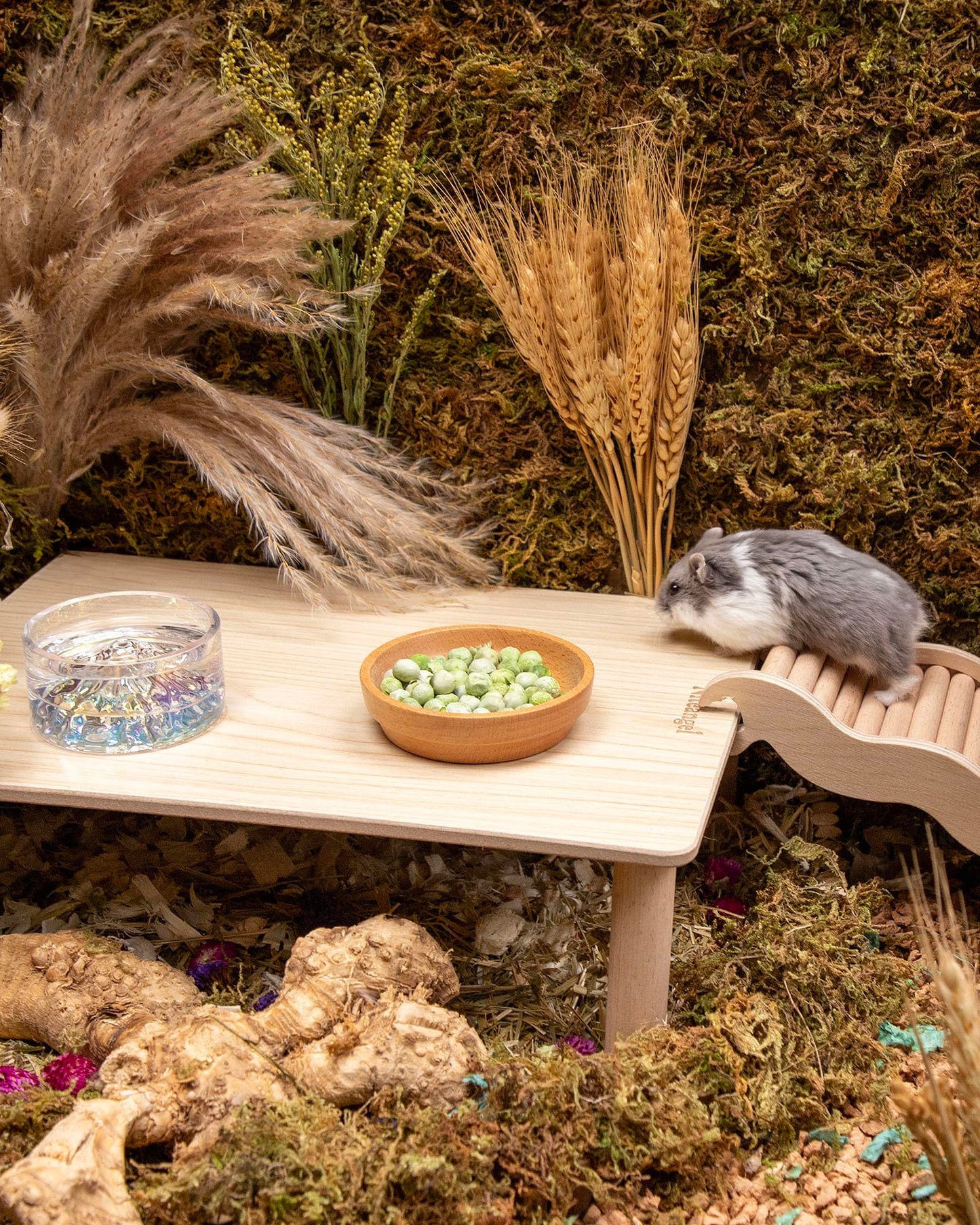 Niteangel Hamster Snack & Treats Toy - Small Animal Natural Treat for Dwarf Syrian Robo Hamsters Gerbils Mice Lemmings Degus or Other Small-Sized Pets (Freeze-Dried Tofu 8mm - 0.7oz (19g))