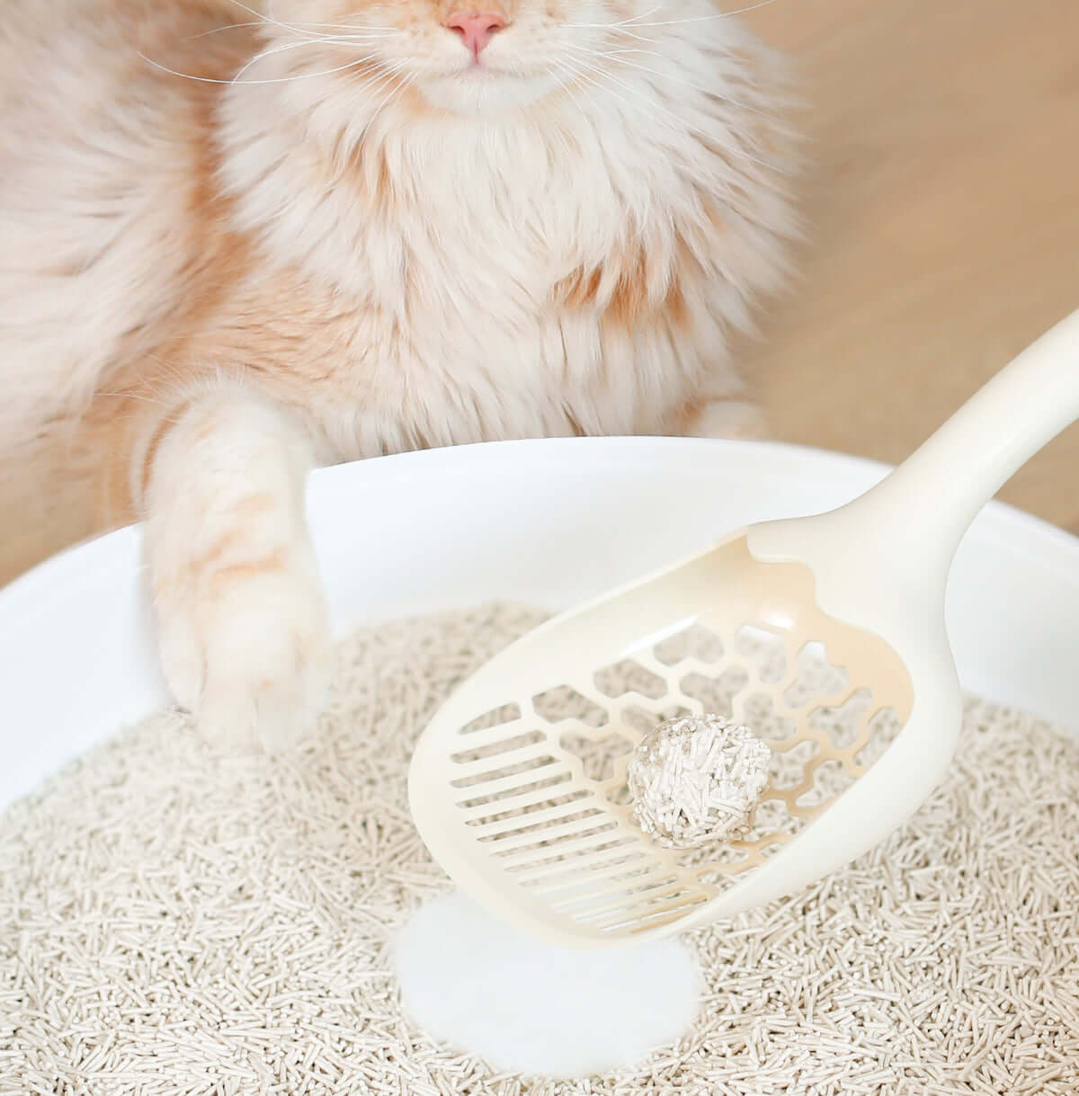 3-in-1 Mixed Crushed Bentonite and Tofu Cat Litter