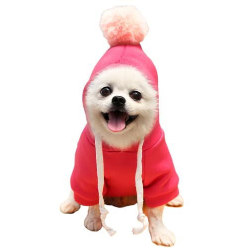 Warm Dog Winter Clothes Cute Fruit Dog Coat Hoodies Fleece Pet Dogs Costume Jacket for French Bulldog Chihuahua Ropa para Perro(Green,S)