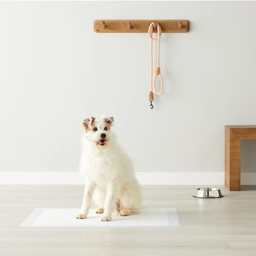 Amazon Basics Dog and Puppy Pads, Leak-Proof 5-Layer Pee Pads with Quick-Dry Surface for Potty Training, Regular (22 x 22 Inches) - Pack of 100