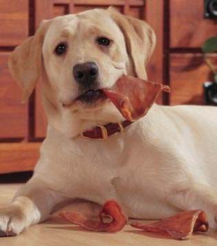 Pig Ears for Dogs - Furr-Reel
