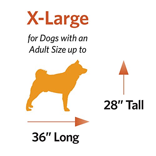 Dog Crate | MidWest iCrate 30" Folding Metal Dog Crate w/ Divider Panel, Floor Protecting Feet & Leak-Proof Plastic Tray | 30L x 19W x 21H Inches, Medium Dog, Black