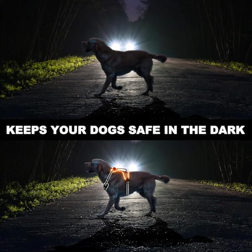 Light Up Dog Harness No Pull, LED Dog Harness with Soft Handle Rechargeable, Lighted Glowing Pet Vest Harness for Large Dogs Night Walking, Reflective/4 Point Adjustable/High Visibility - Orange, L Furr-Reel