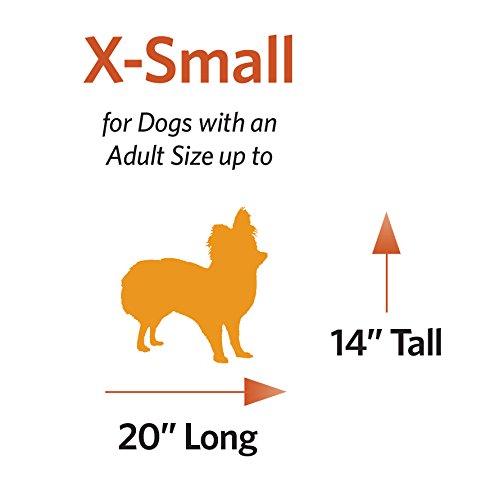 Dog Crate | MidWest iCrate 30" Folding Metal Dog Crate w/ Divider Panel, Floor Protecting Feet & Leak-Proof Plastic Tray | 30L x 19W x 21H Inches, Medium Dog, Black