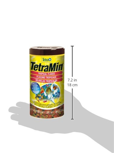 Tetra Pond Food 1.25lb Bag (Trilingual)