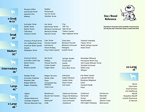 Dog Crate | MidWest iCrate 30" Folding Metal Dog Crate w/ Divider Panel, Floor Protecting Feet & Leak-Proof Plastic Tray | 30L x 19W x 21H Inches, Medium Dog, Black