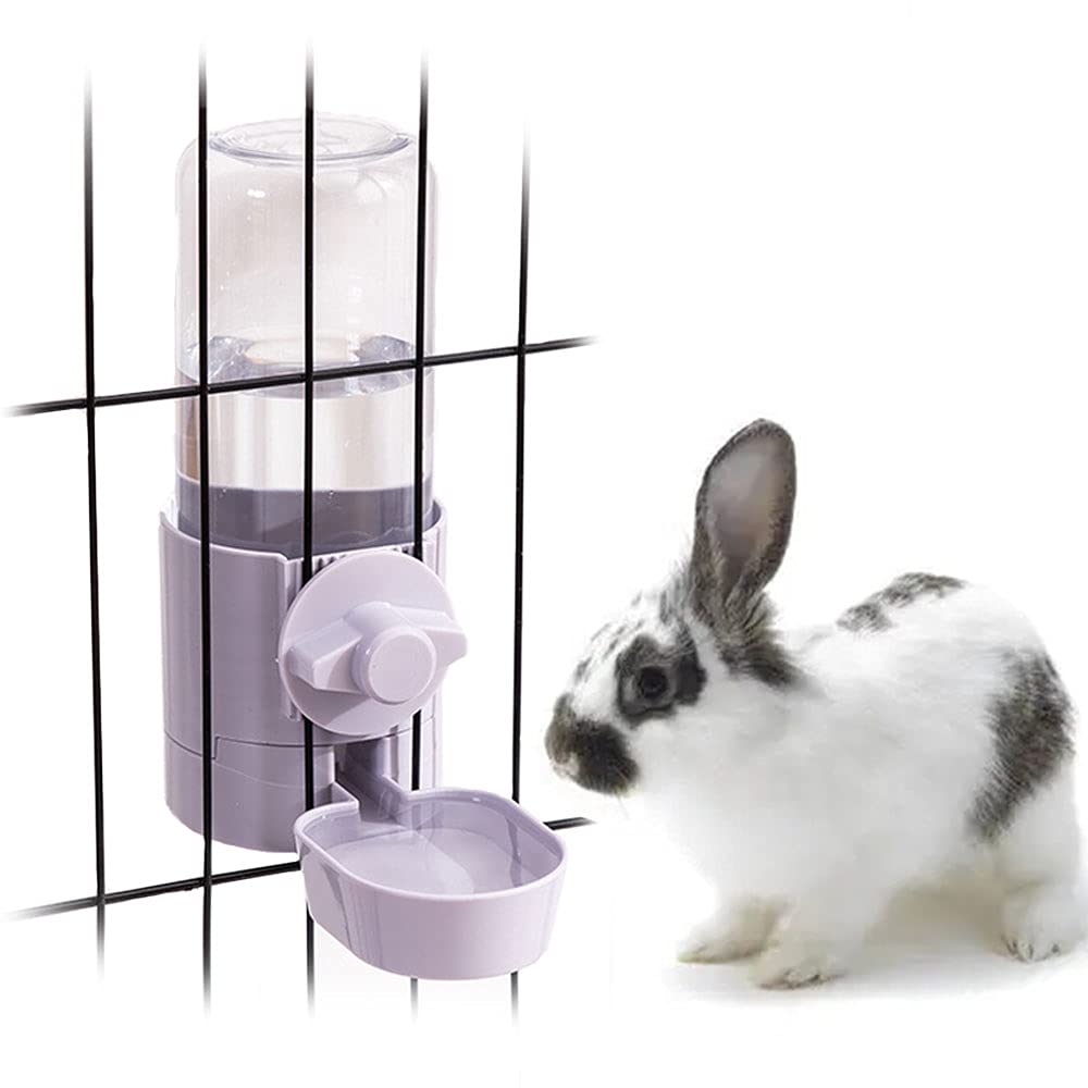 Abreuvoir sans fuite pour lapin, 500 ml, sans goutte, pour cochon d'Inde, hamster, chinchilla, furet de petit animal