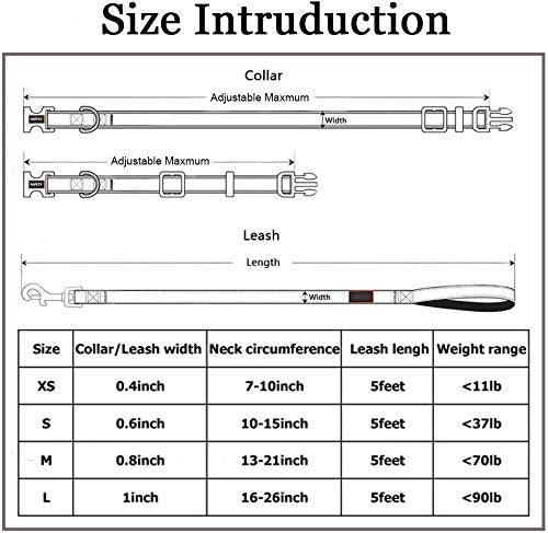 Roses&Poetry Dog Collar and Lead for Small, Adjustable Durable 5ft Puppy Leash Collar for Dog Training Lead (Black & White-S) - Furr-Reel
