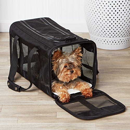 Amazon Basics Soft-Sided Mesh Pet Travel Carrier for Dog, Cat, up to 22 pounds , 19.7" L x 12" W x 12" H, Black