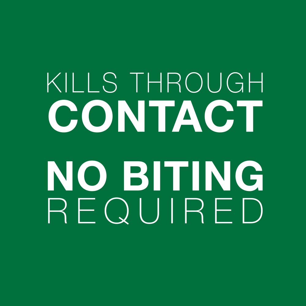 Advantage II Flea Protection for Large Cats weighing over 4 kg (over 9 lbs.) - 2 doses