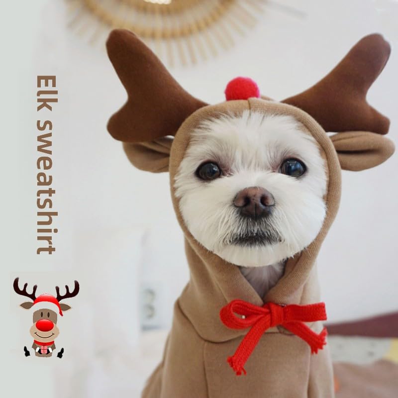 Warm Dog Winter Clothes Cute Fruit Dog Coat Hoodies Fleece Pet Dogs Costume Jacket for French Bulldog Chihuahua Ropa para Perro(Green,S)