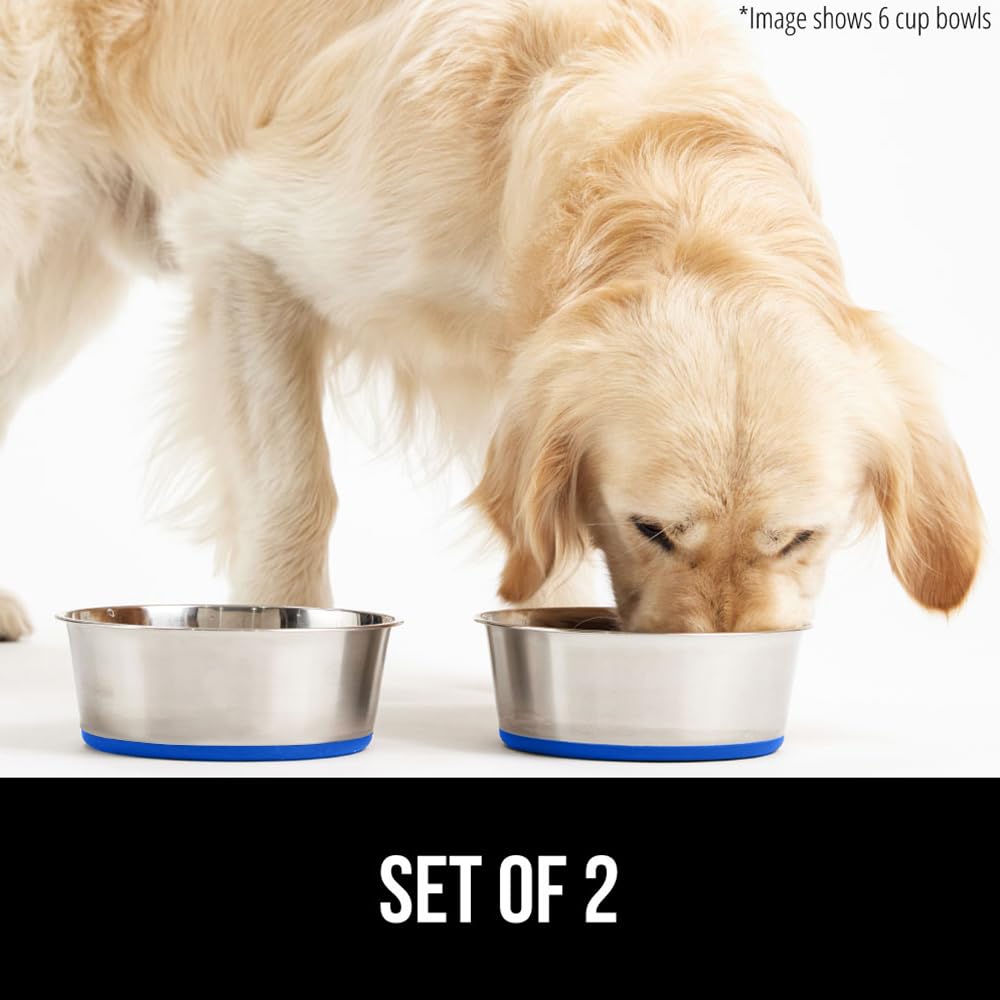 GORILLA GRIP Stainless Steel Metal Dog Bowl Set of 2, Rubber Base, Heavy Duty, Rust Resistant, Food Grade BPA Free, Less Sliding, Quiet Pet Bowls for Cats and Dogs, Holds 2 Cups (16 fl oz), Black