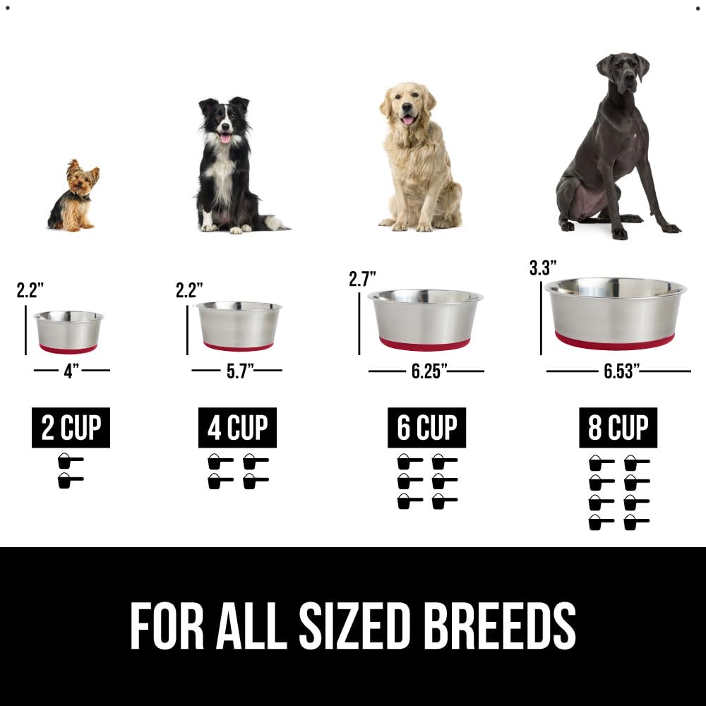 GORILLA GRIP Stainless Steel Metal Dog Bowl Set of 2, Rubber Base, Heavy Duty, Rust Resistant, Food Grade BPA Free, Less Sliding, Quiet Pet Bowls for Cats and Dogs, Holds 2 Cups (16 fl oz), Black