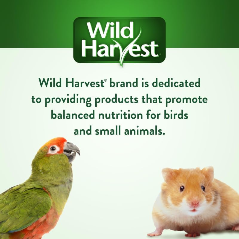 Wild Harvest Advanced Nutrition Diet Hamster/Gerbil 4lb - Furr-Reel