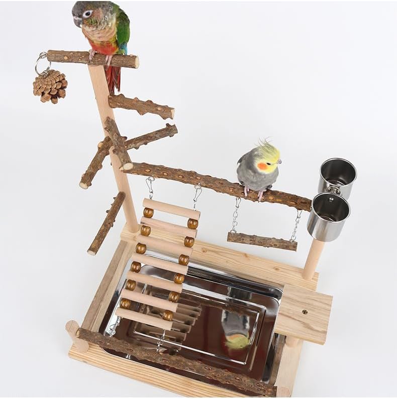 Parrots Bird Wooden Playstand, Birdcage Playground Play Gym, Birds Activity Stand Wood Perch Gym with Feeder Cup and Tray, Parrot Playstand Bird Perches for Pets Birds Play Furr-Reel