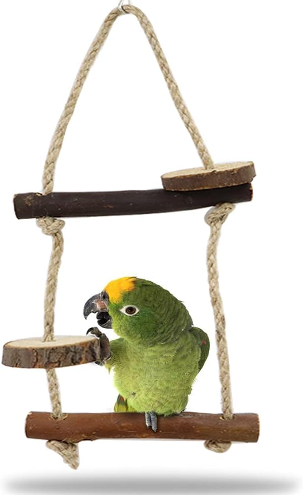10Pcs Natural Wood Bird Perch Stand Set, Parrot Stand Perch Platform, Pet Bird Swing Toy for Budgies Cockatiel Parakeet Lovebirds (nature)
