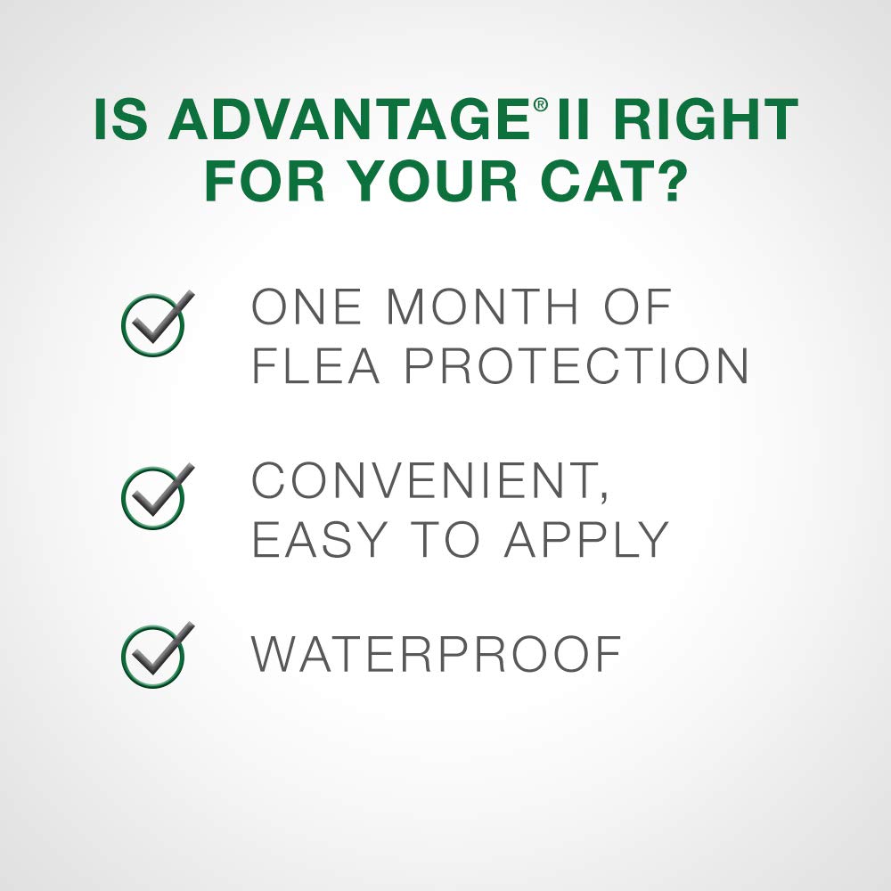 Advantage II Flea Protection for Large Cats weighing over 4 kg (over 9 lbs.) - 2 doses