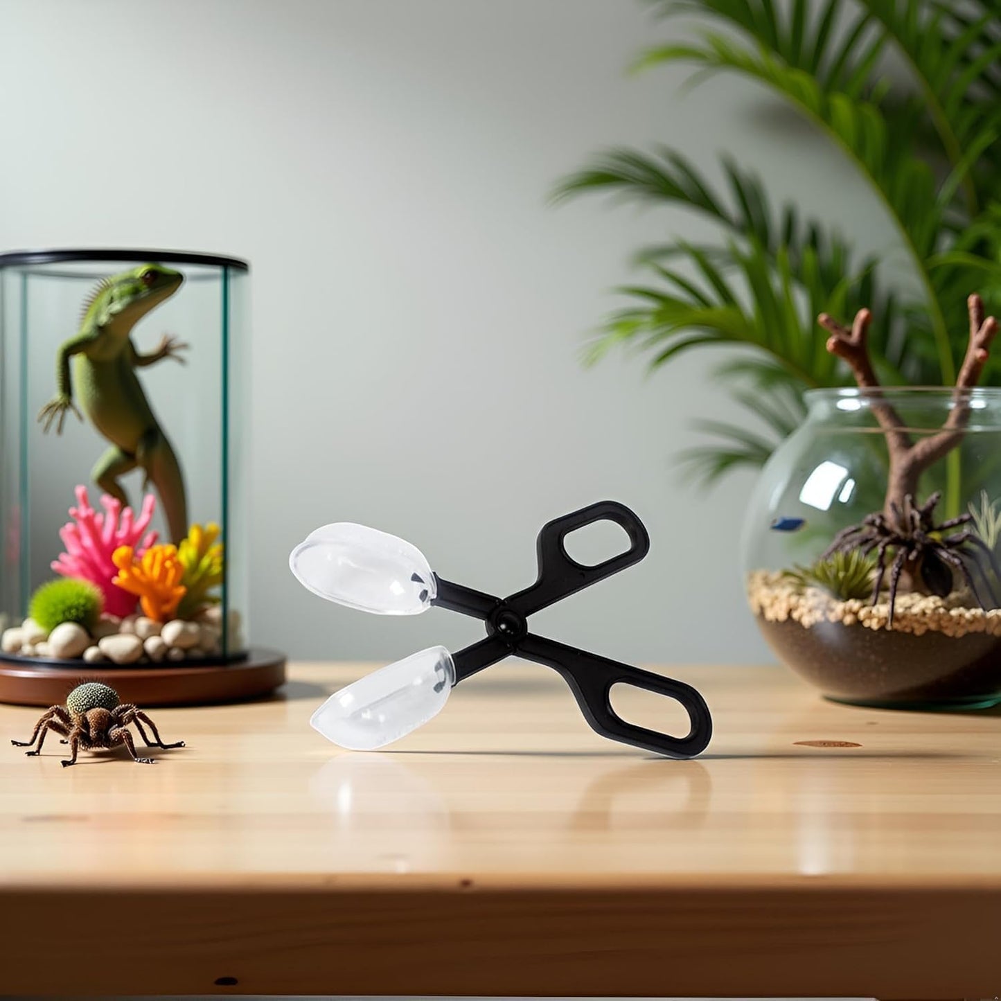 of Reptile Feeding Clamp Reptile Poop Scoop Cage Fish Tank Cleaning Tools Reptile Feeding Tool for Gecko Lizard Bearded Dragon,for Snakes Lizard Tarantulas Reptile Supplies Reptiles and Amphibians Furr-Reel