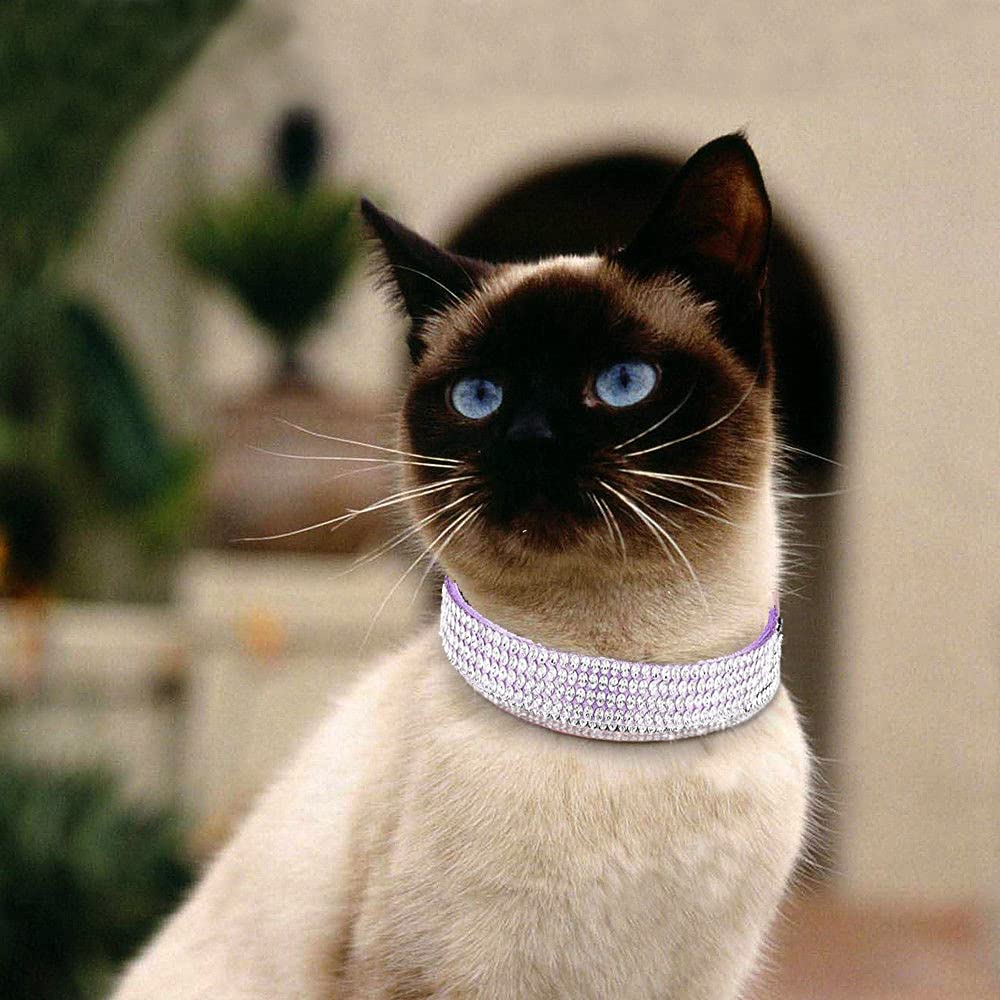 haoyueer Rhinestones Dog Cat Collars with Bell Bling Pet Puppy Collars with Soft Velvet Crystal Collars Girl Jeweled Necklace (Blue) … - Furr-Reel