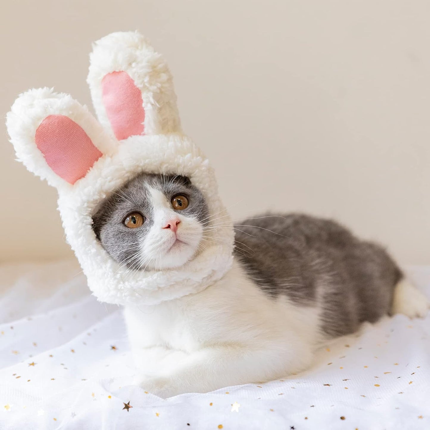 5 Pieces Cat Hat Adjustable Cute Pet Hat, Cats, Kitten and Puppy Accessory Headwear, Pet Hats with Rabbit Ears/Banana/Sunflower/Fruit Apple/Pineapple Cap