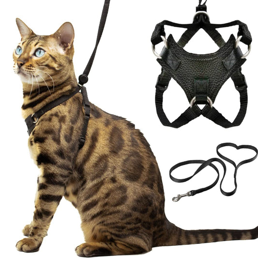 Houdini™ Escape Proof Kitten Harness and Leash Set by OutdoorBengal – Black, Small Cat Harness for Walking