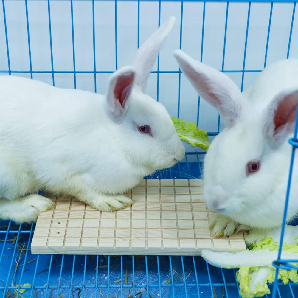 DQITJ 2 Pcs Rabbit Grinding Claw Pad Lava Grinding Teeth Stone, Wooden Scratch Board for Rabbit Bunny Chinchilla Totoro Rat Guinea Pig Hedgehog Rodent