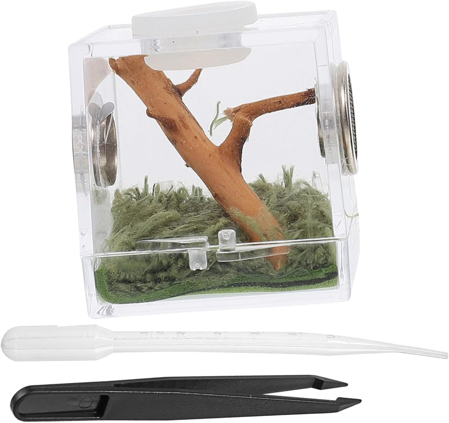 Toyvian 1Set Spider Habitat Box Lightweight Small Pet Breeding Container for Jumping Spider Scorpion Beetle