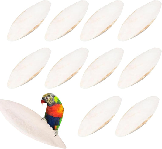 Cuttlefish Bone, 10 Pieces Cuttlefish Bone Kit for Birds Chewing Toys, Cuttle Fish Bo-ne Set for Snails Tortoises, Natural Cockatiel Treats Cuttle Fish Bo-ne Toys, for Pet Supplies