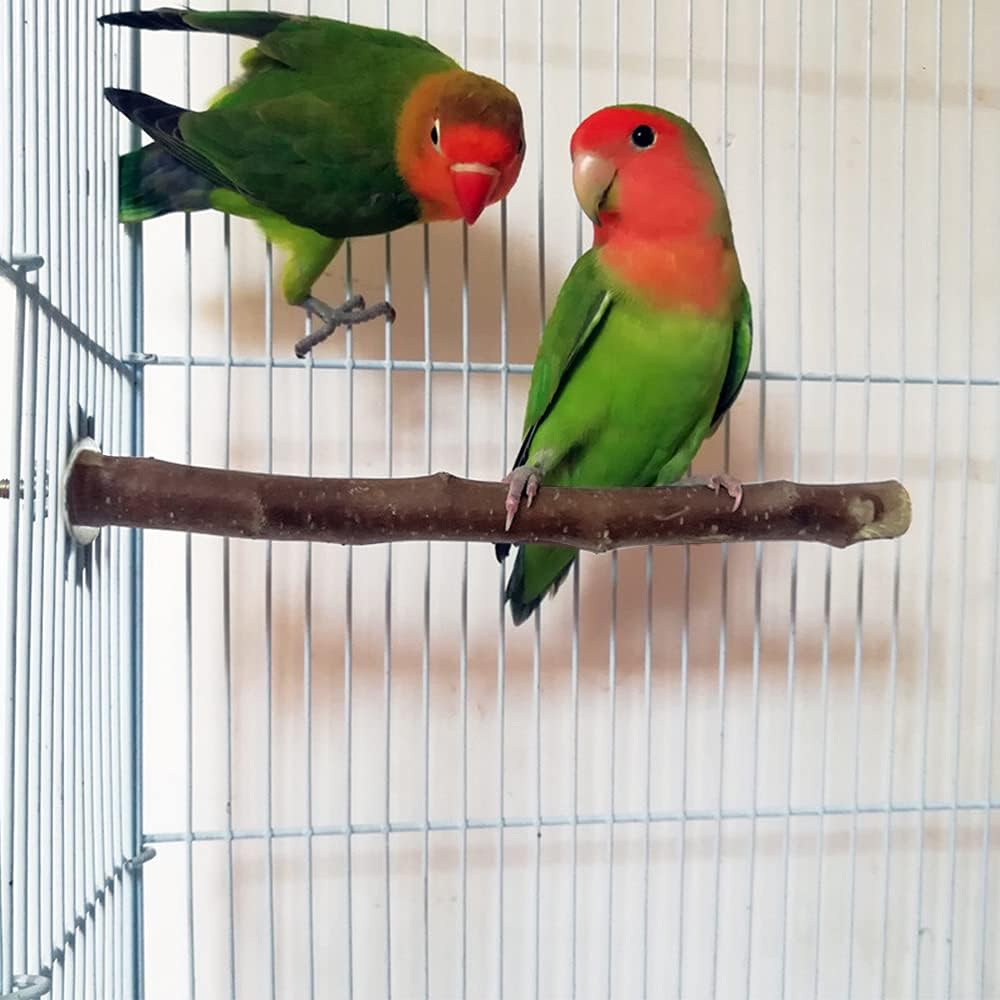 10Pcs Natural Wood Bird Perch Stand Set, Parrot Stand Perch Platform, Pet Bird Swing Toy for Budgies Cockatiel Parakeet Lovebirds (nature)