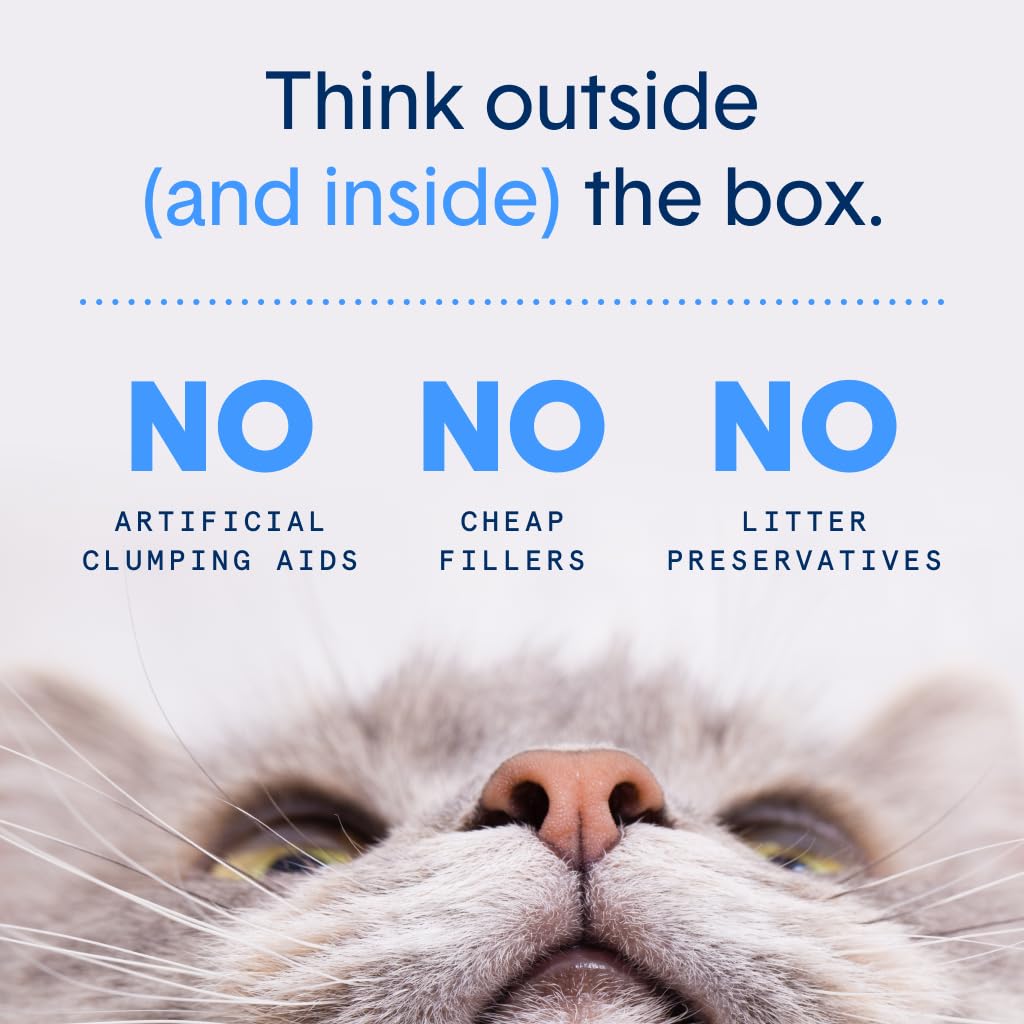 Boxie® Unscented 30 Day Odour Control Clumping Clay Cat & Kitty Litter 16 lb, 99.9% Dust-Free, Hard Flat Top® Clumps, No Fragrances No Fillers, Long-Lasting, Easy to Scoop