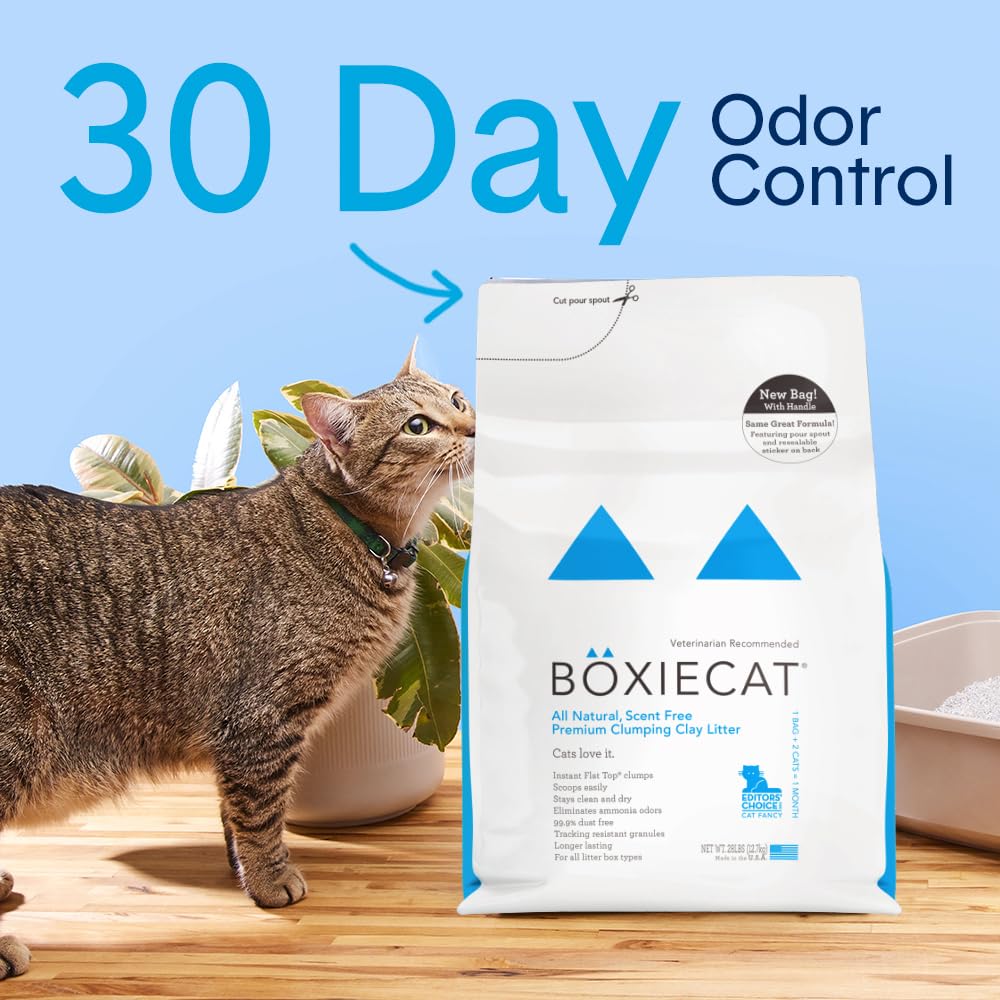 Boxie® Unscented 30 Day Odour Control Clumping Clay Cat & Kitty Litter 16 lb, 99.9% Dust-Free, Hard Flat Top® Clumps, No Fragrances No Fillers, Long-Lasting, Easy to Scoop