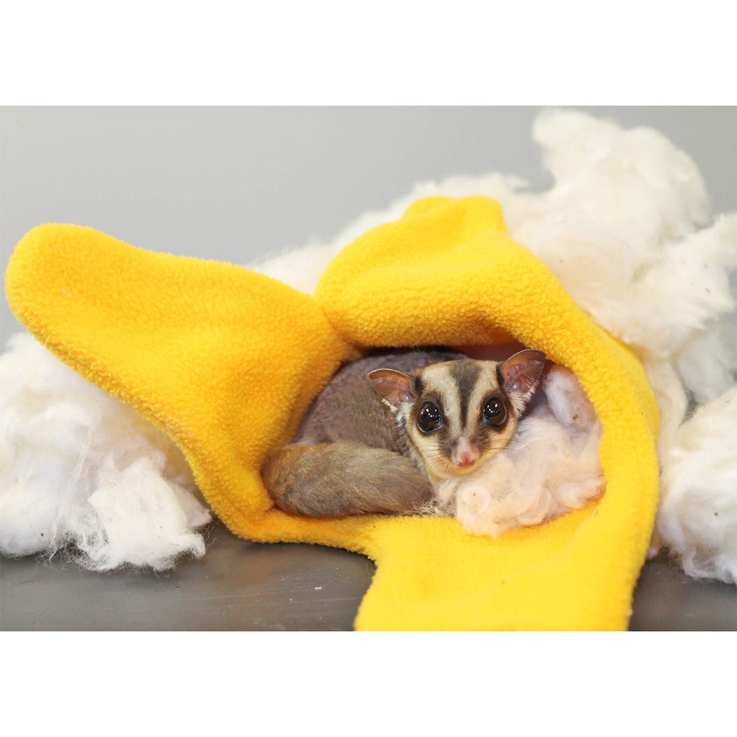 All-Natural Nesting Material (4 oz.) - 100% Cotton Eco-Friendly Animal Bedding - For Sugar Gliders, Squirrels, Hamsters, Rabbits, Chinchillas, Rats, Mice, Gerbils, Guinea Pigs and Other Small Pets