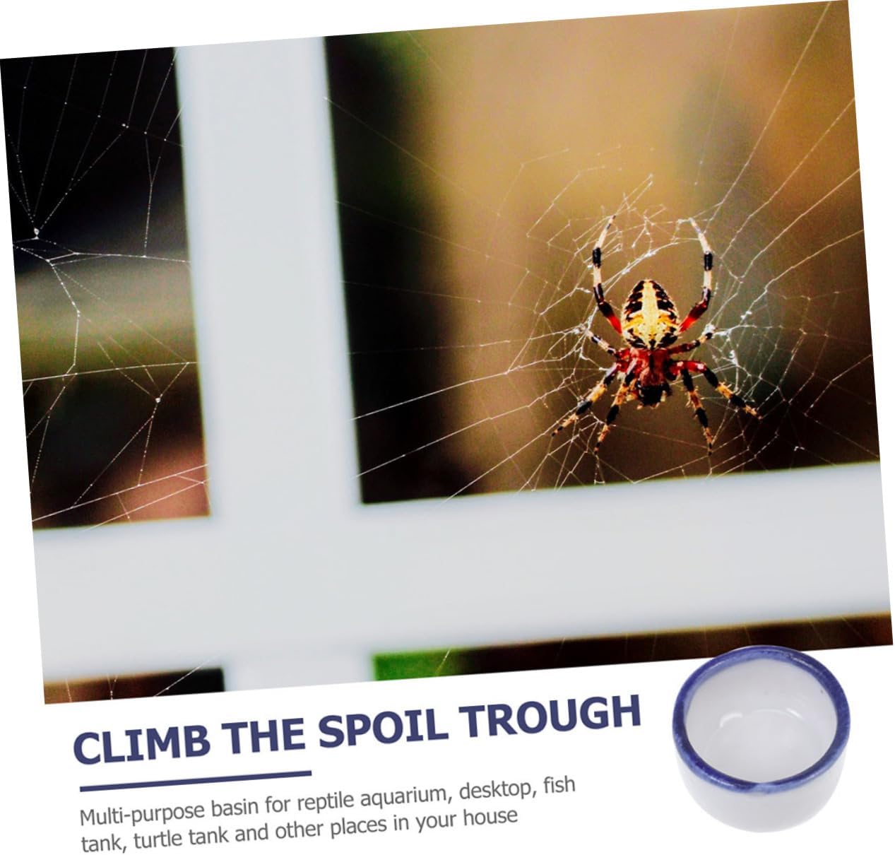 ROMISBABA 24pcs Reptile Supplies Ceramic Climbing Pet Water Basins Reptile Bowl Set for Scorpion Spider