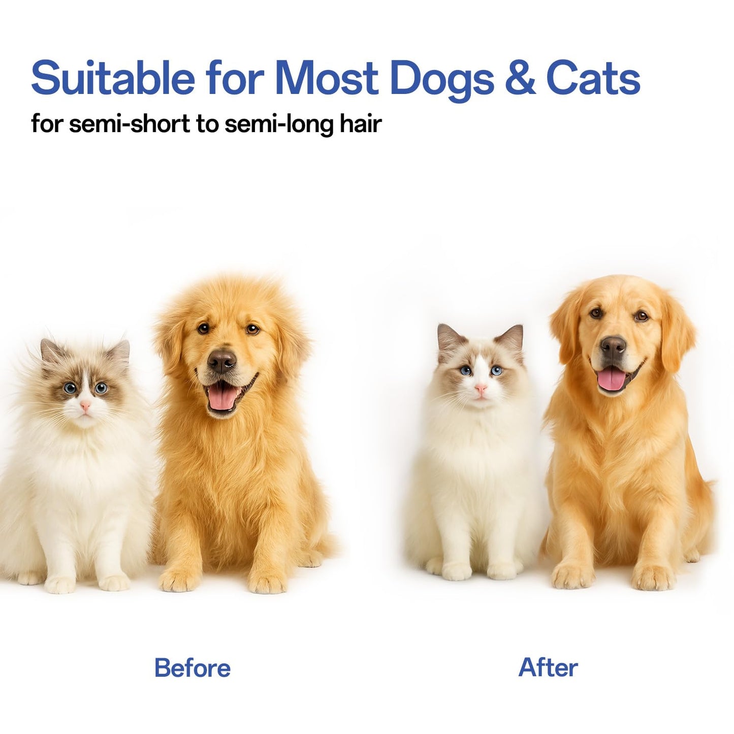 ACE2ACE Dog Brush, Cat Brush for Shedding Long and Short Haired, Self-Cleaning Dog Slicker Brush, Removes Loose Fur for Puppy, Cockapoo, Labrador, Golden Retriever, Pomeranian, Poodle, Rabbits, Blue - Furr-Reel