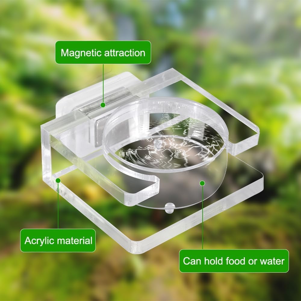 Clear Acrylic Magnetic Feeding Dish for Jumping Spider - Tarantula Water Dish and Food Bowl - Enclosure Accessories for Jumping Spider.