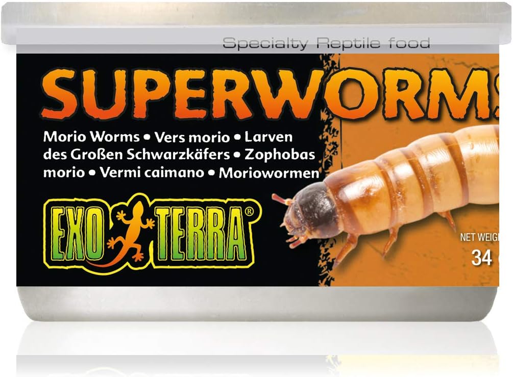 Exo Terra Canned Superworms - 34 g (1.2 oz)