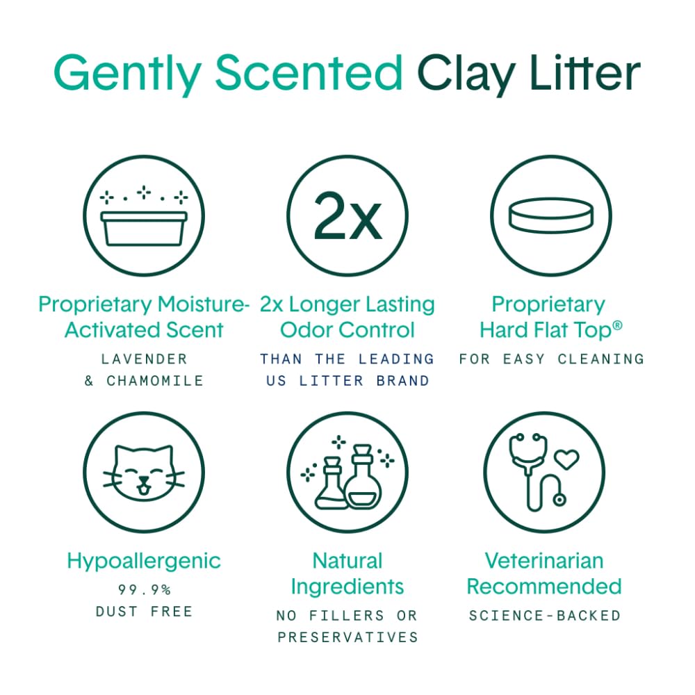 Boxie® Unscented 30 Day Odour Control Clumping Clay Cat & Kitty Litter 16 lb, 99.9% Dust-Free, Hard Flat Top® Clumps, No Fragrances No Fillers, Long-Lasting, Easy to Scoop