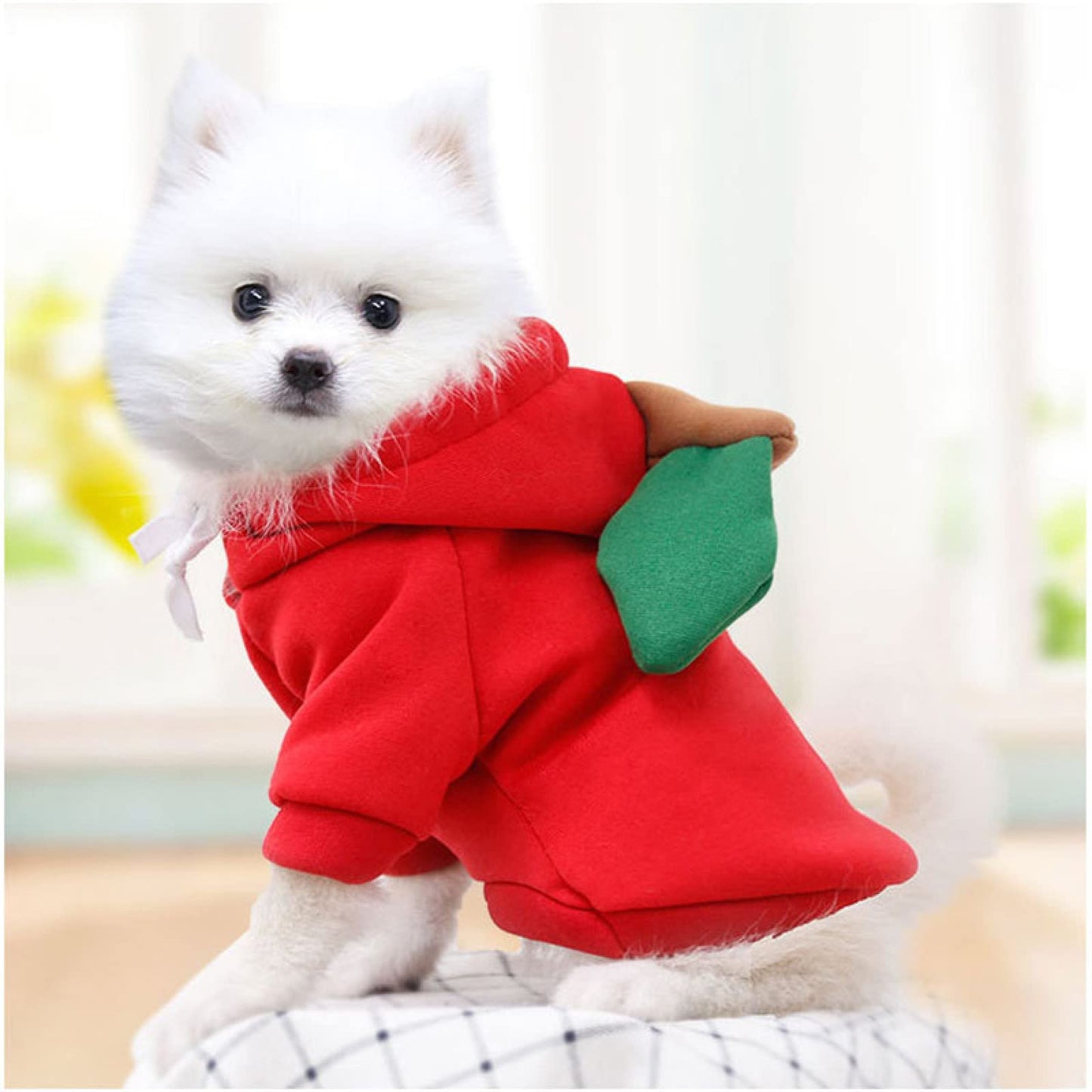 Warm Dog Winter Clothes Cute Fruit Dog Coat Hoodies Fleece Pet Dogs Costume Jacket for French Bulldog Chihuahua Ropa para Perro(Green,S)