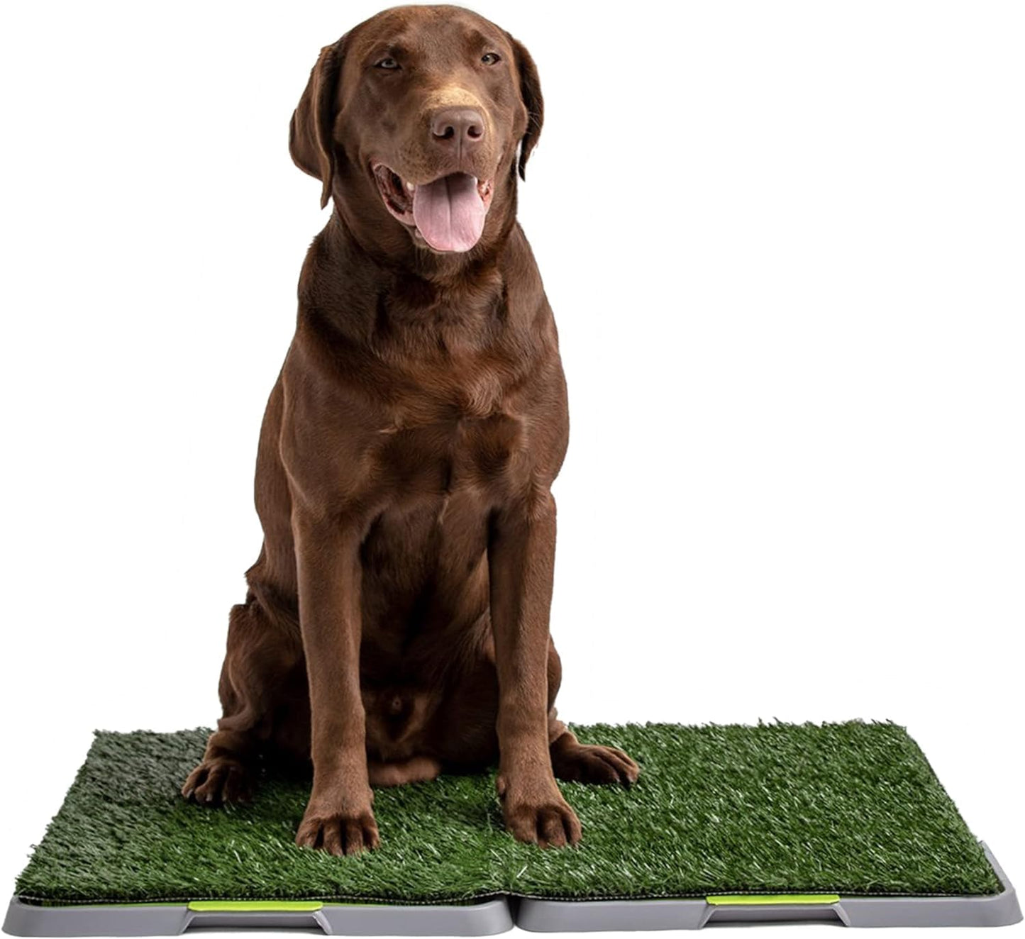 Dog Grass Pad with Tray, Artificial Turf Dog Grass Pee Pad Potty Training for Indoor Outdoor Use, Washable Replacement Potty Mat for Puppy and Small Pet, 20 inch x 25 inch