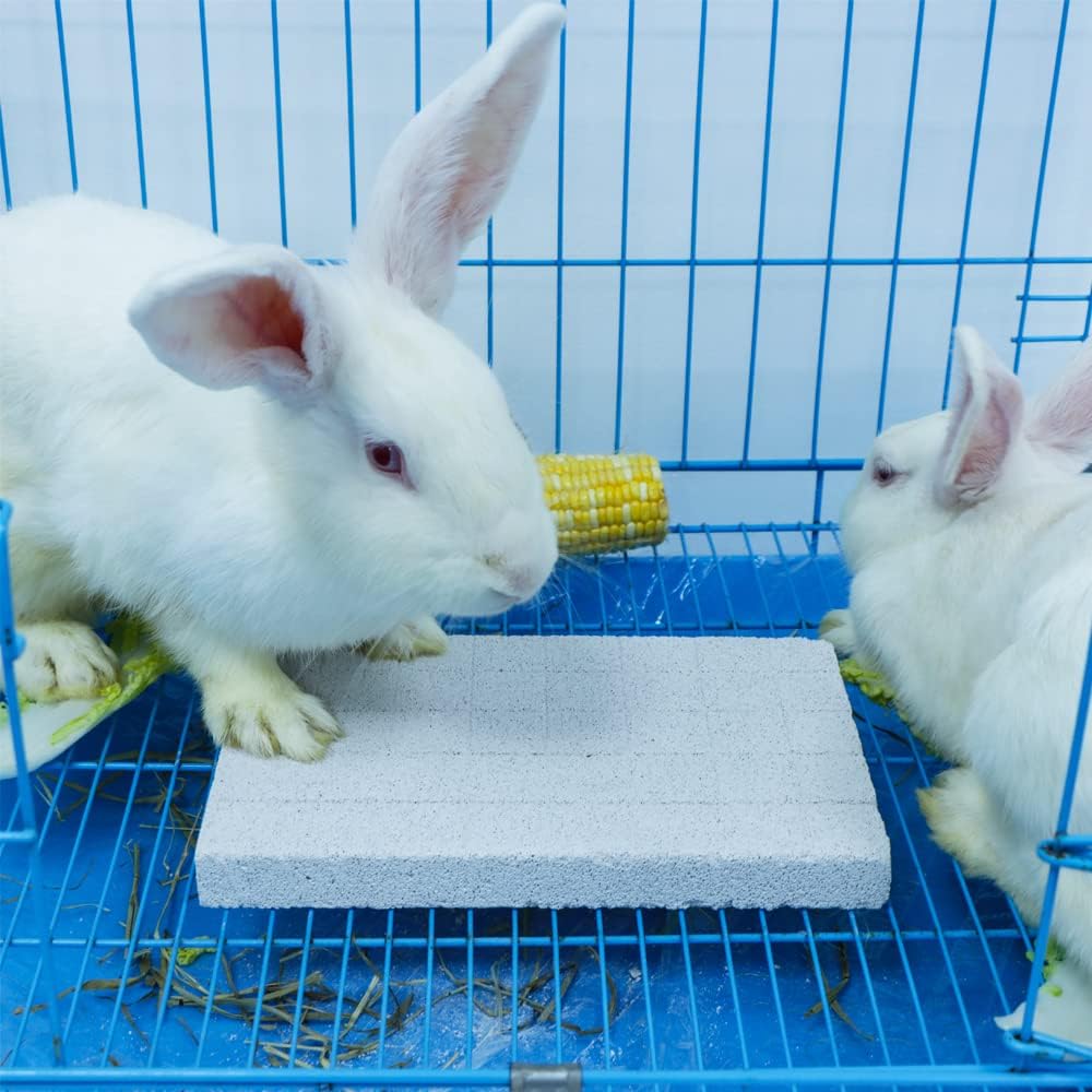 DQITJ 2 Pcs Rabbit Grinding Claw Pad Lava Grinding Teeth Stone, Wooden Scratch Board for Rabbit Bunny Chinchilla Totoro Rat Guinea Pig Hedgehog Rodent