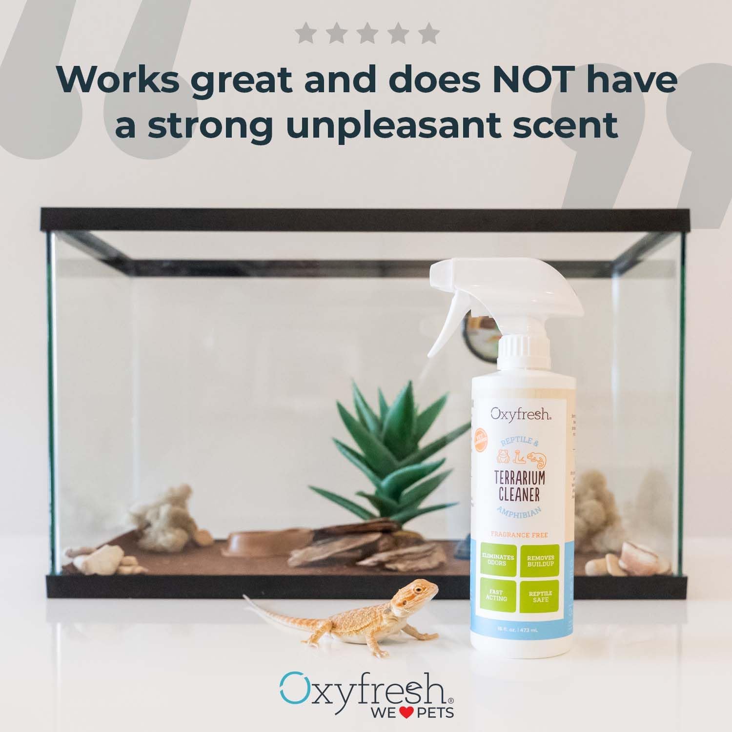 Oxyfresh Premium Terrarium Cleaner – Professional Amphibian & Reptile Terrarium Smell Eliminator – Safe & Quickly Removes Waste & Odors – Streak Free Glass – Bleach Free Furr-Reel