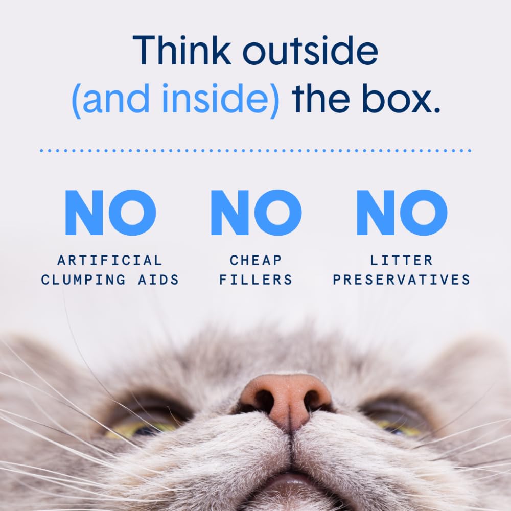 Boxie® Unscented 30 Day Odour Control Clumping Clay Cat & Kitty Litter 16 lb, 99.9% Dust-Free, Hard Flat Top® Clumps, No Fragrances No Fillers, Long-Lasting, Easy to Scoop