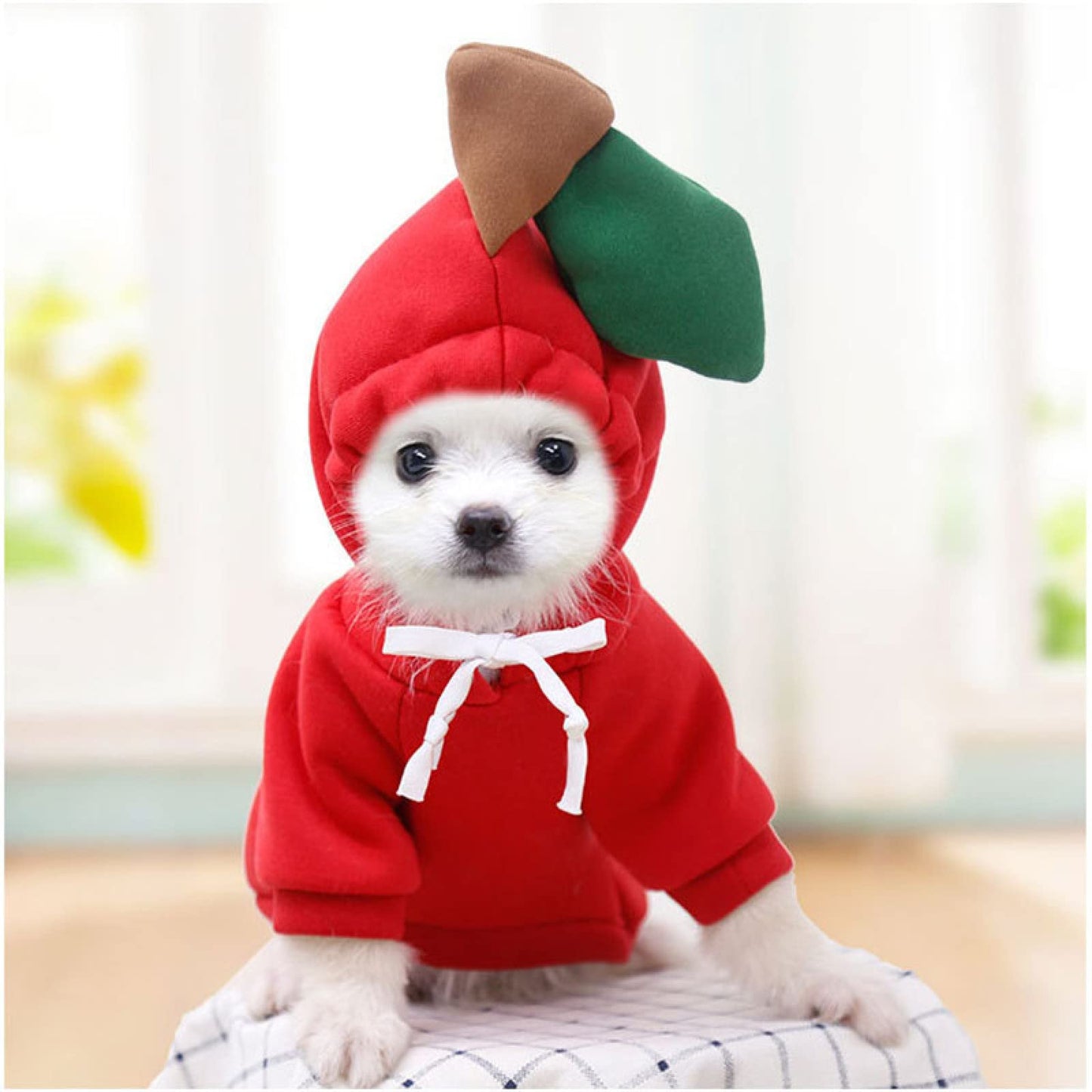Warm Dog Winter Clothes Cute Fruit Dog Coat Hoodies Fleece Pet Dogs Costume Jacket for French Bulldog Chihuahua Ropa para Perro(Green,S)